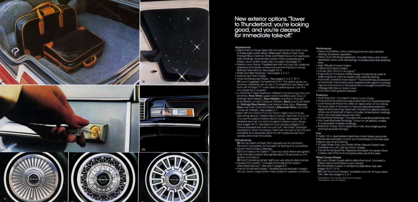 n_1980 Ford Thunderbird (Rev)-18-19.jpg